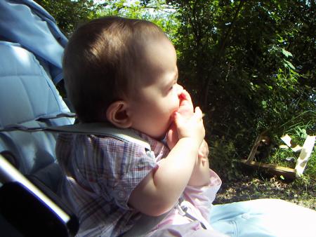 ...ces promenades...